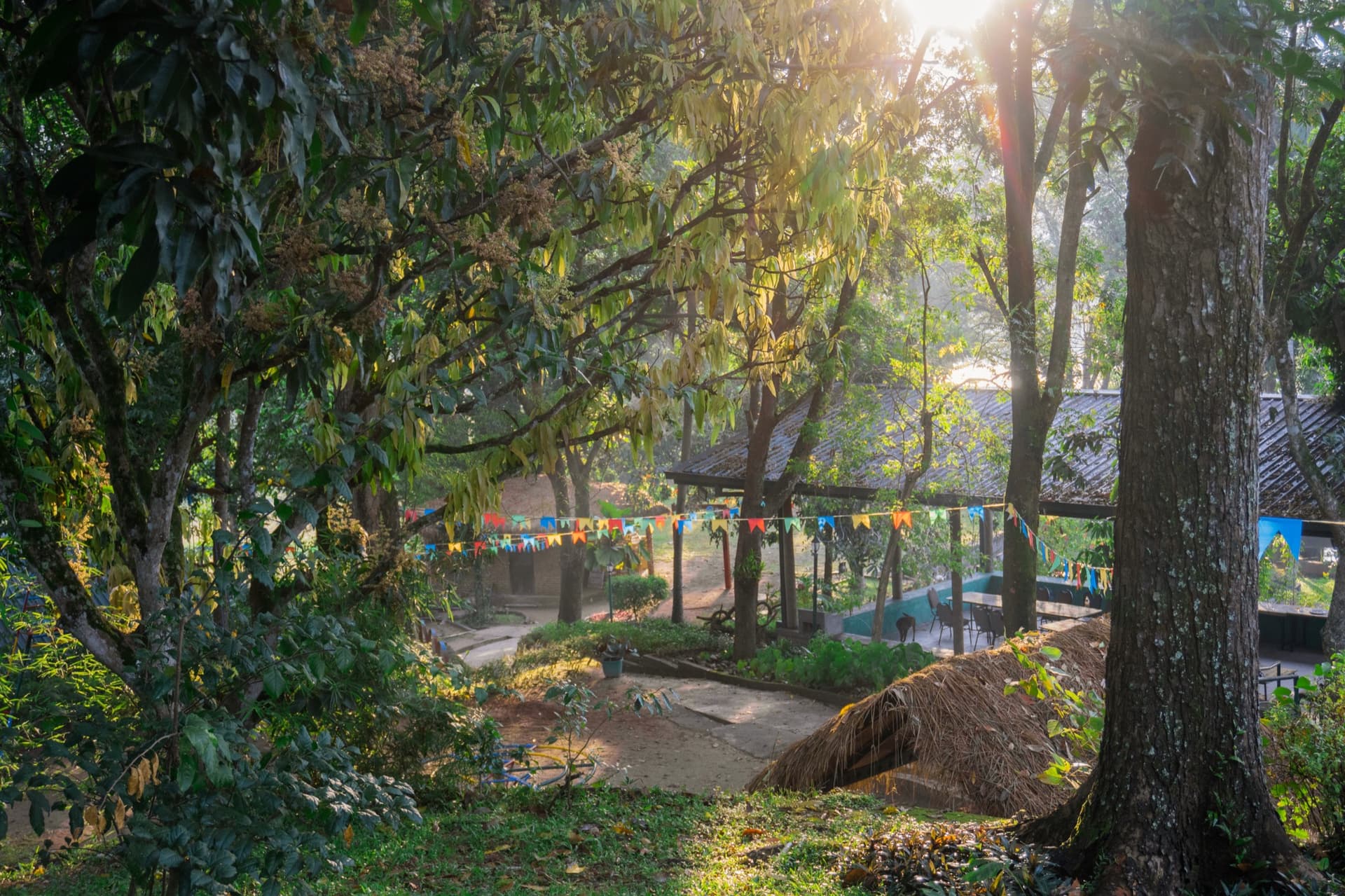 Rustic Pathways