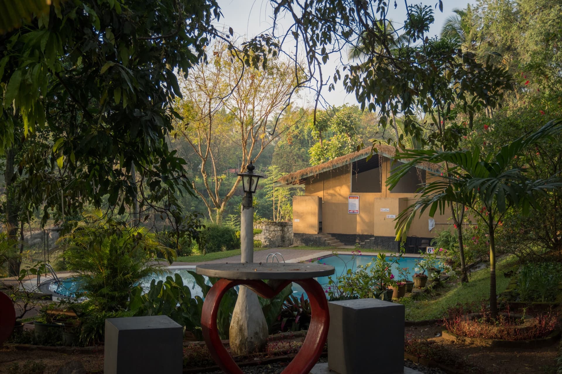 Nature's Corner