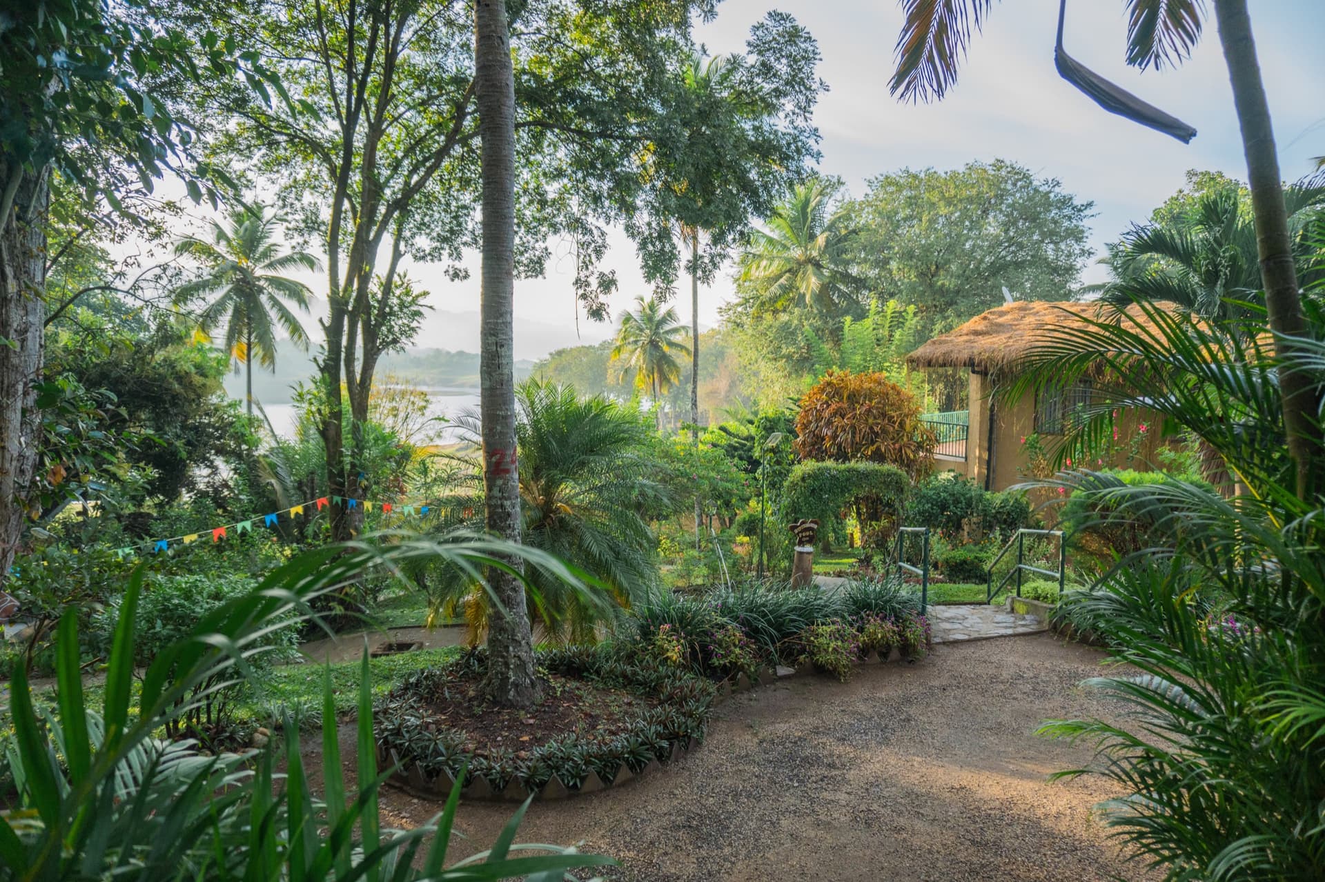 Tranquil Grounds