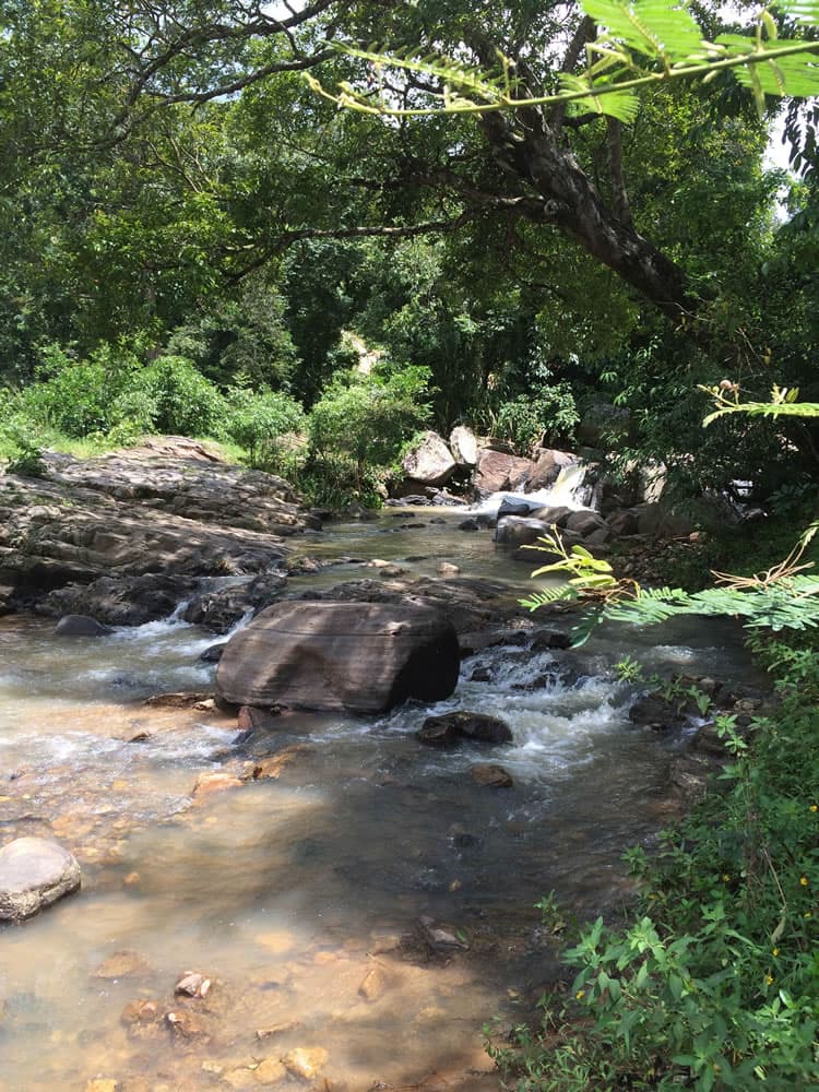 A Day by the River - View 2