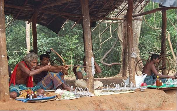 Visit to the Veddha Village - View 2