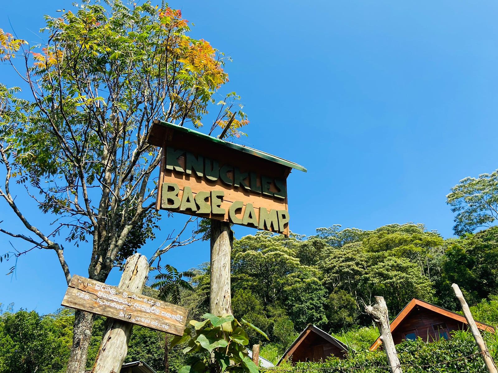 Trek to the Knuckles Mountain Range