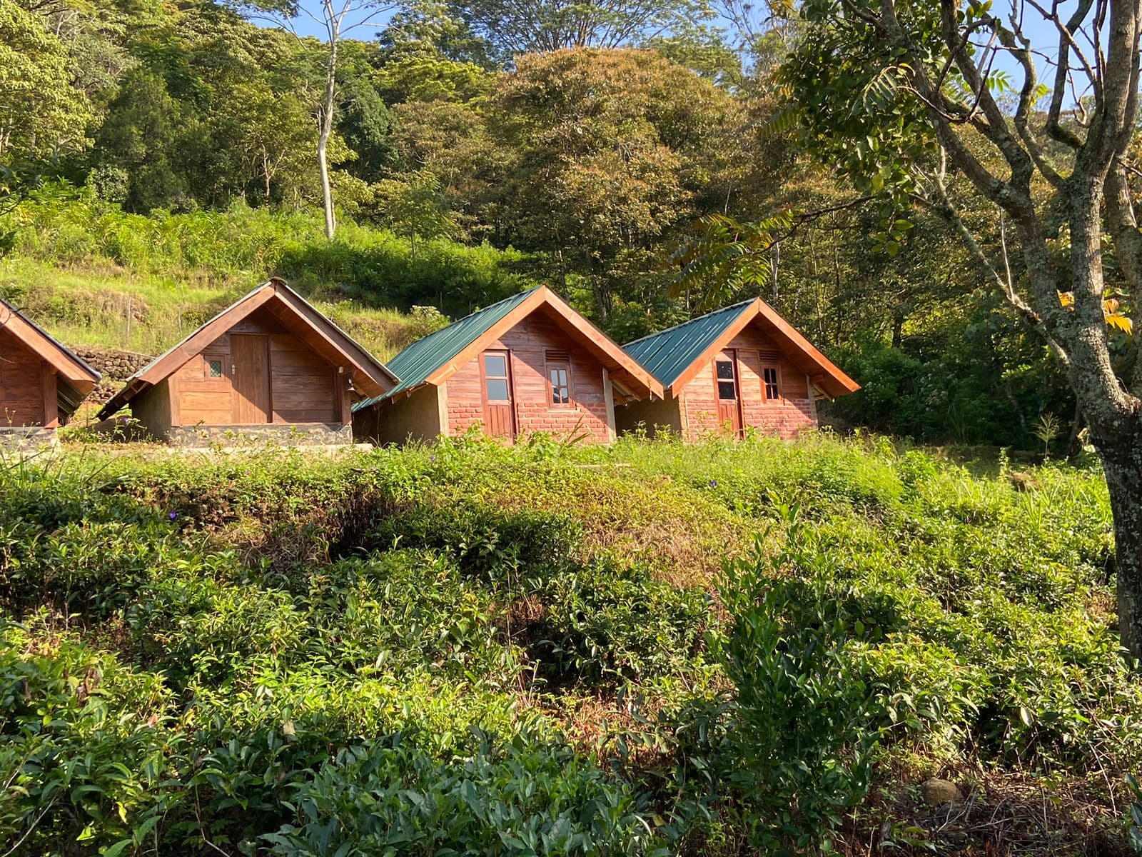 Trek to the Knuckles Mountain Range - View 3