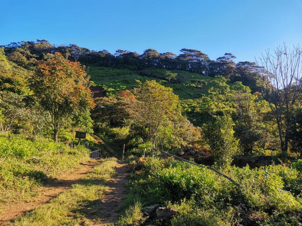 Trek to the Knuckles Mountain Range - View 4