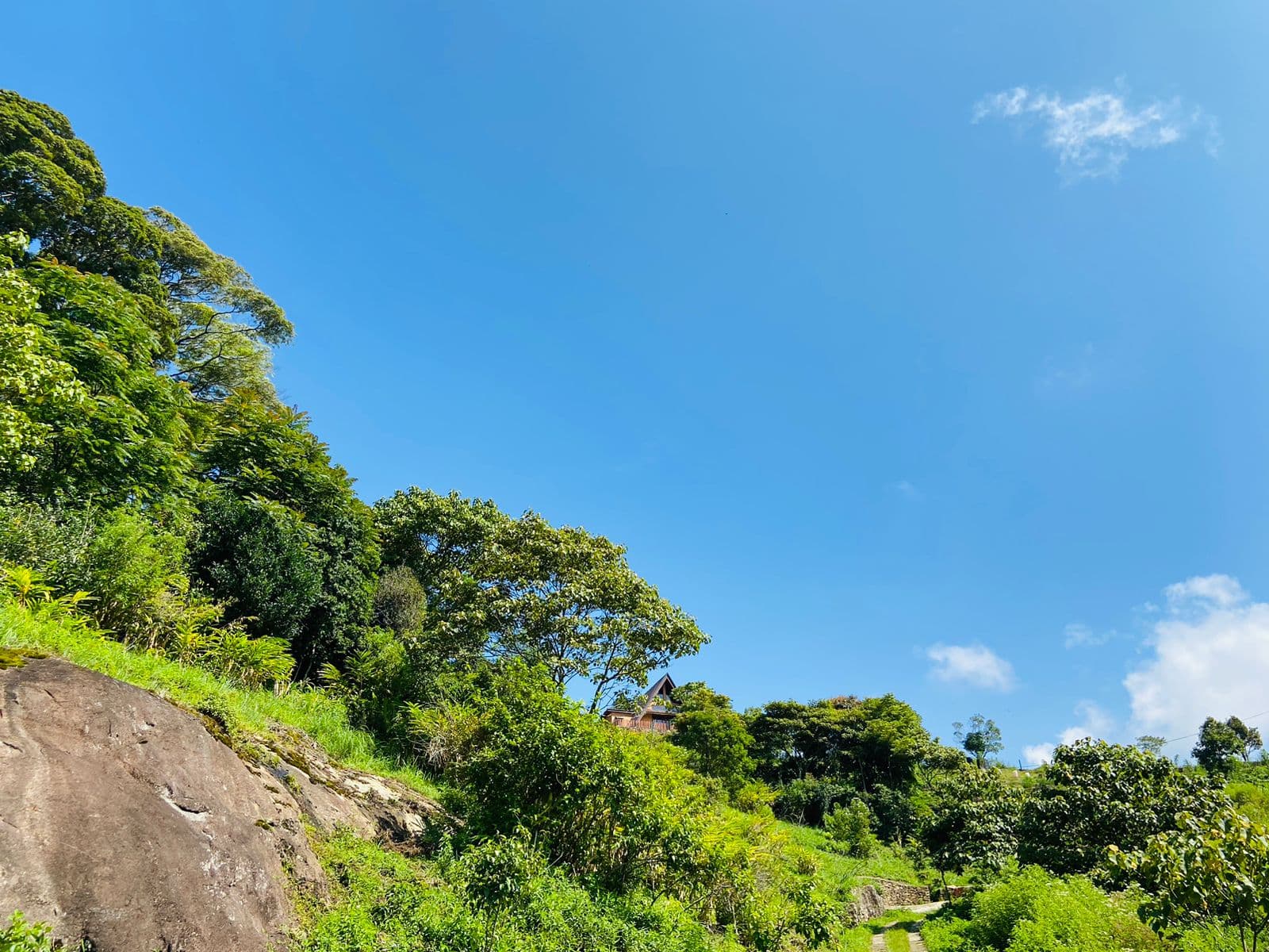 Trek to the Knuckles Mountain Range - View 5