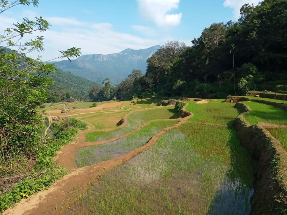 Trek to the Meemure Village - View 3