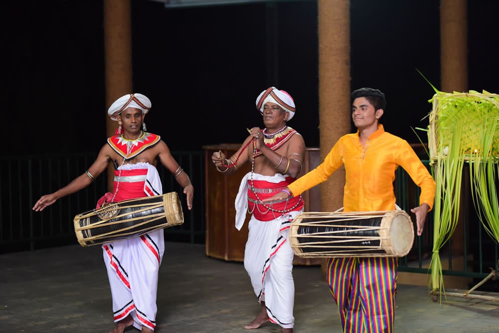 Cultural Dance with a Special Cause - View 2