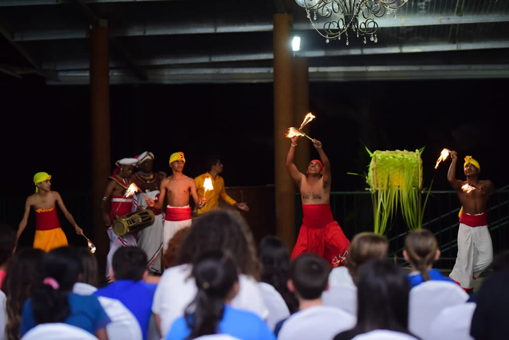 Cultural Dance with a Special Cause - View 4