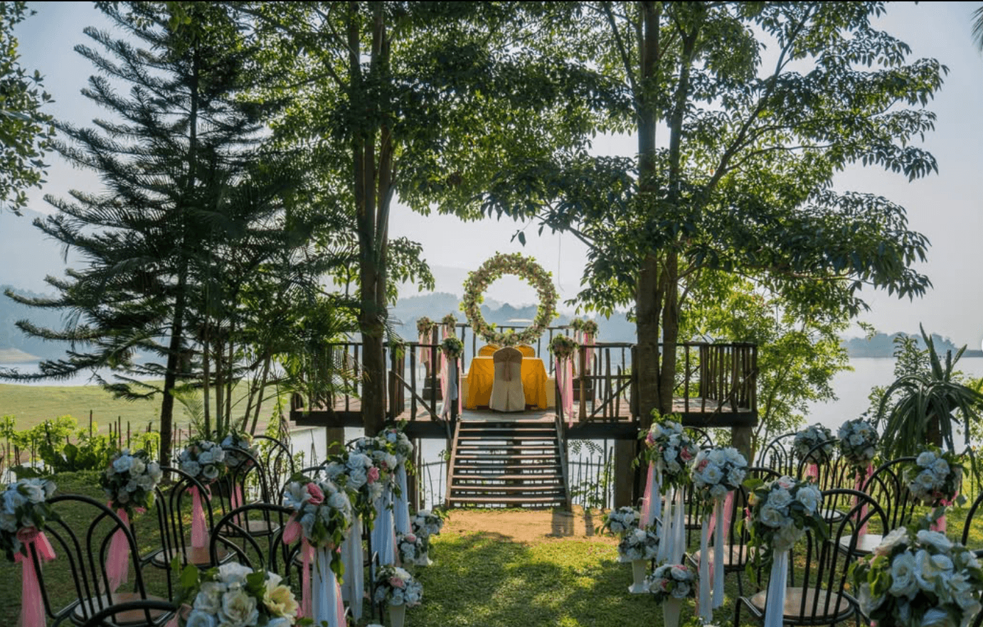 Weddings and Celebrations